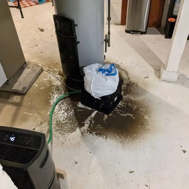 Sewage Backup Cleanup Service in Princeville, HI